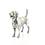 Labrador