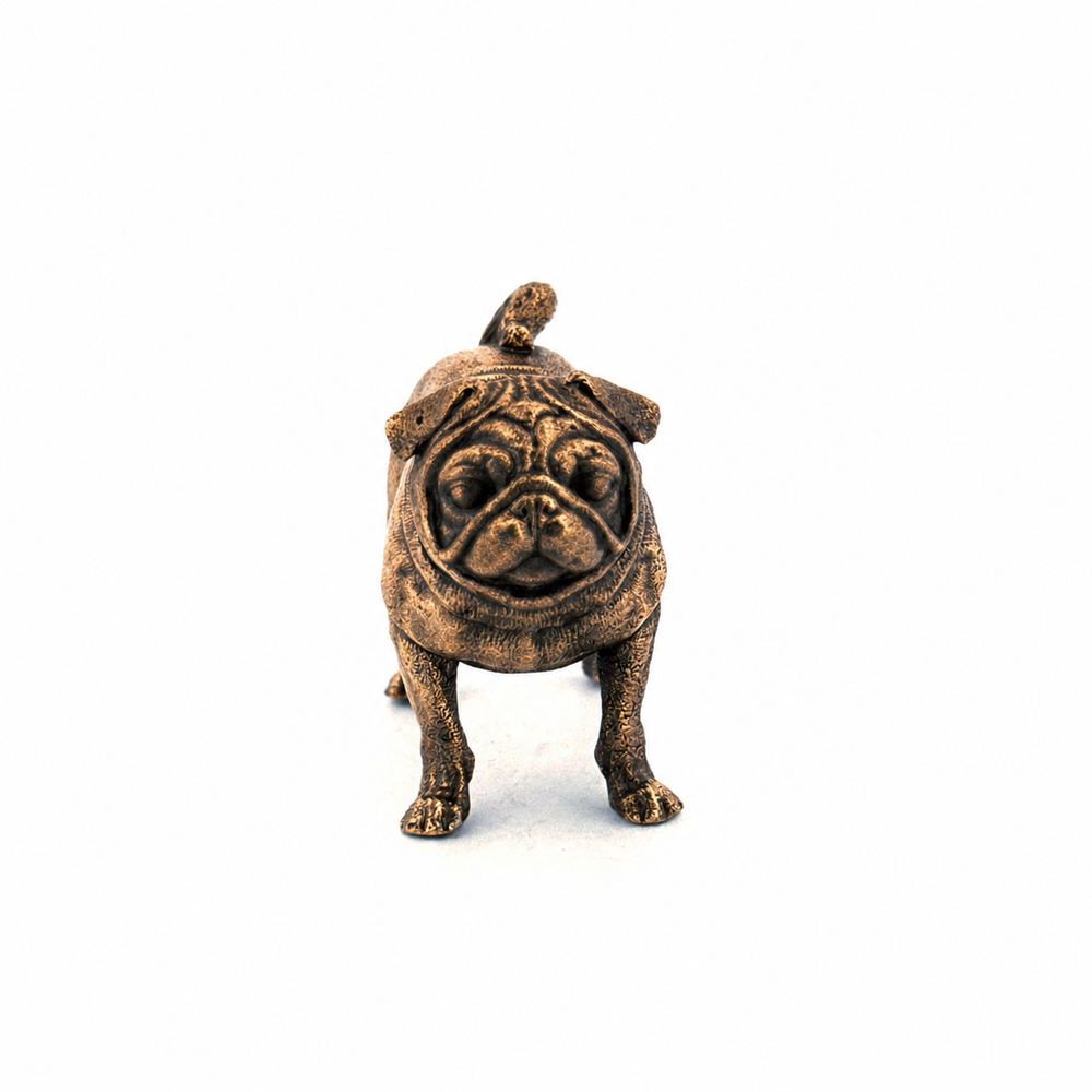 Pug