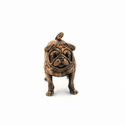 Pug