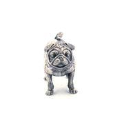 Pug