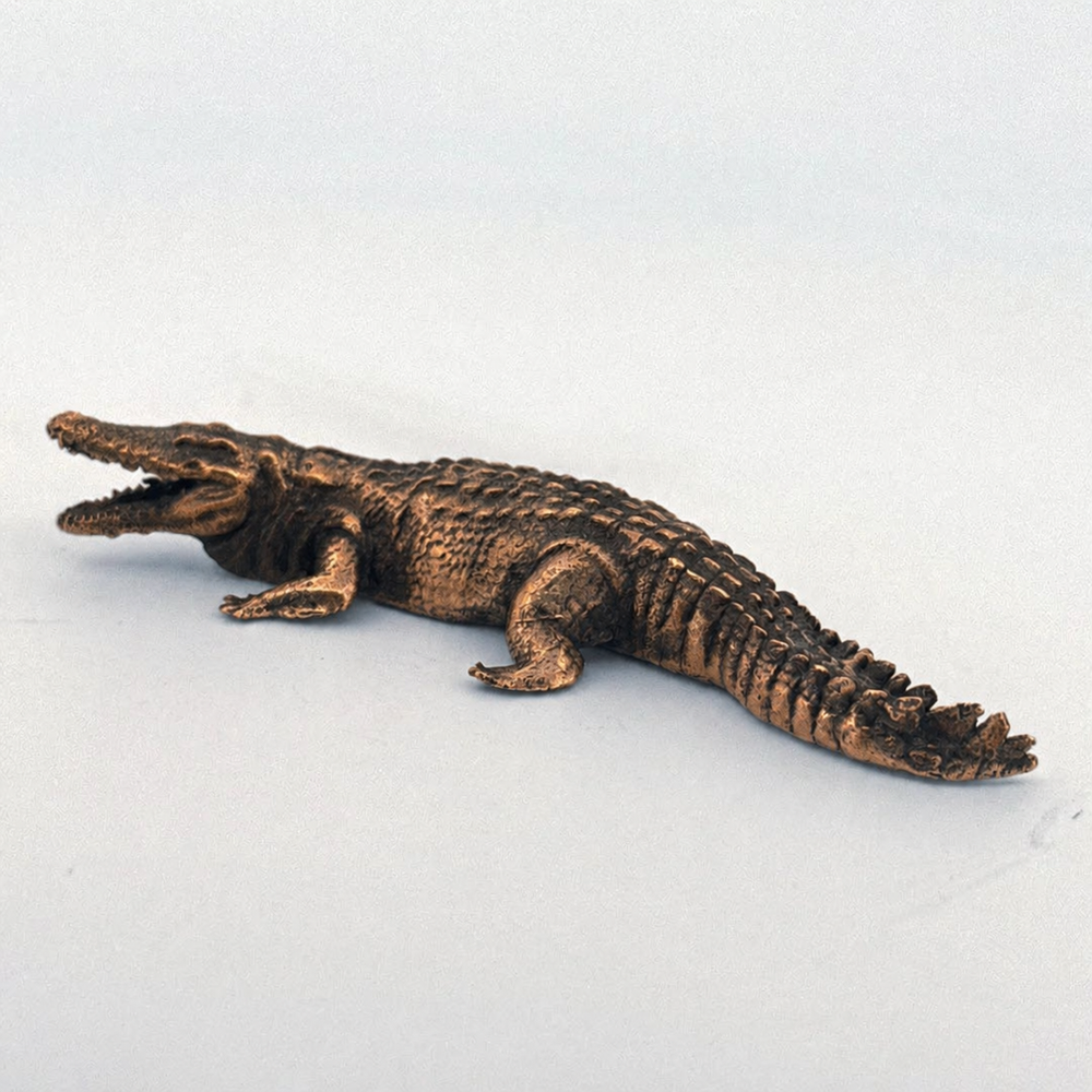 Crocodile