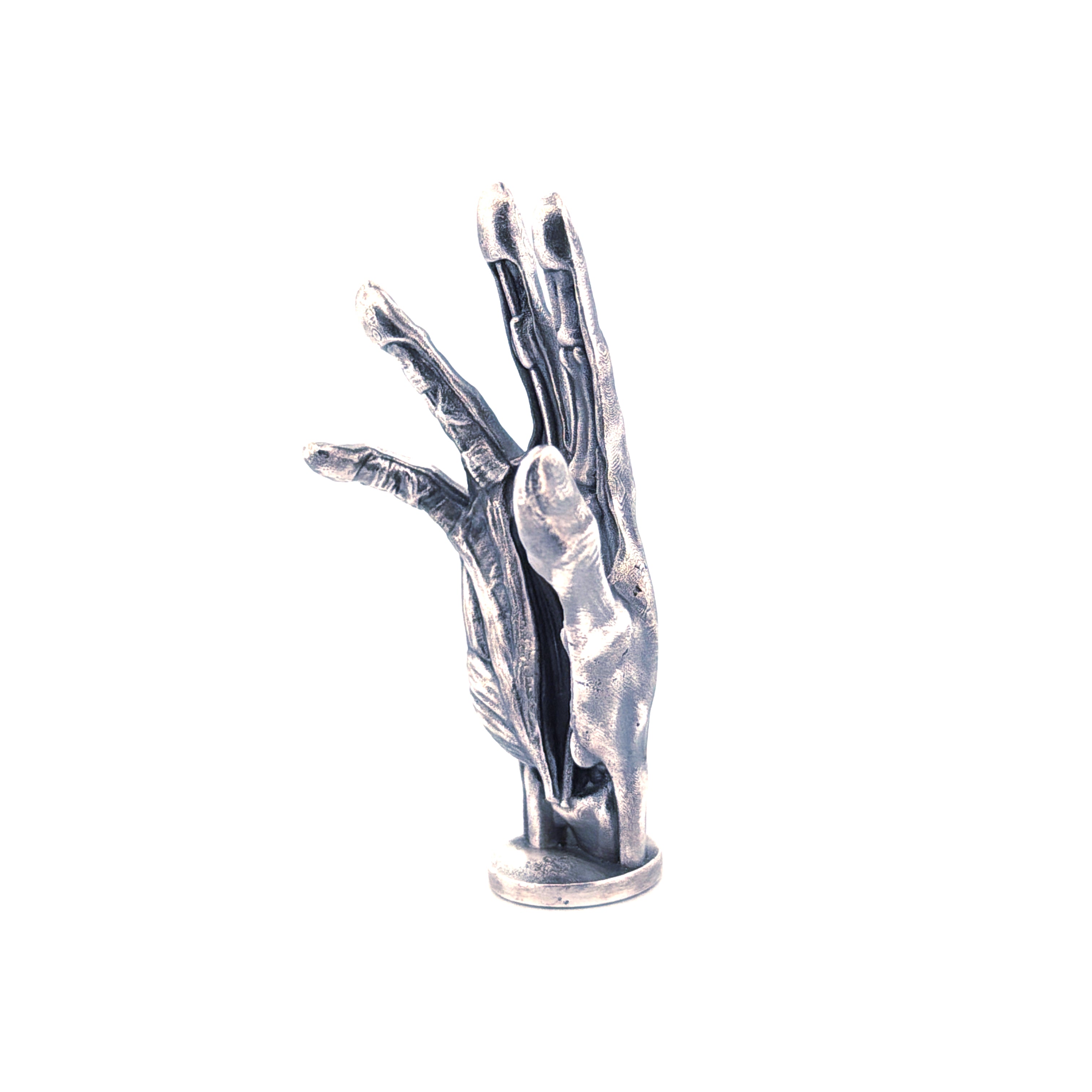 Anatomical Hand