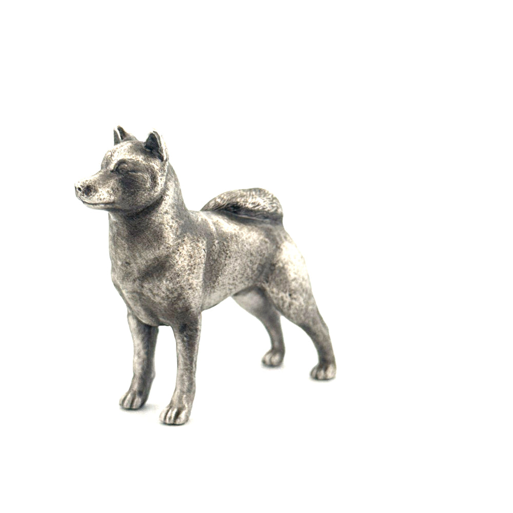 Shiba