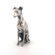 Whippet