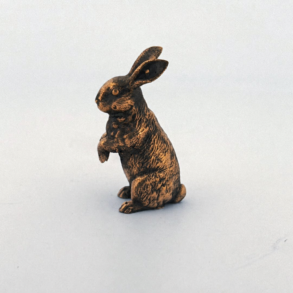 Bunny Rabbit