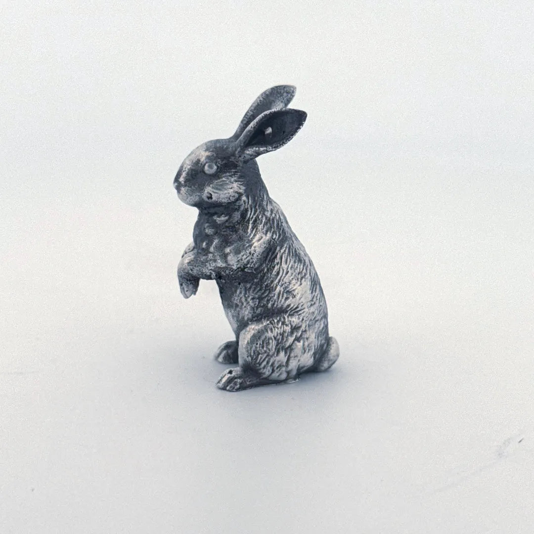 Bunny Rabbit