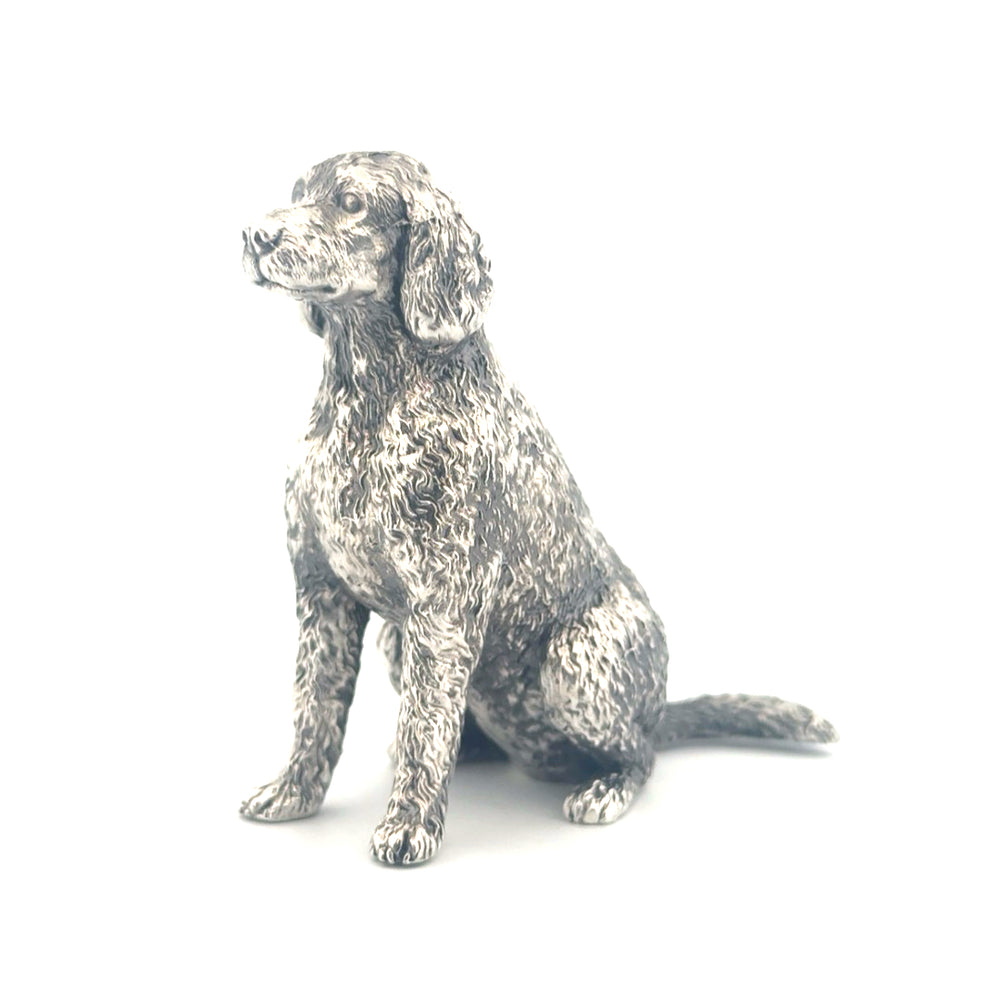 Labradoodle