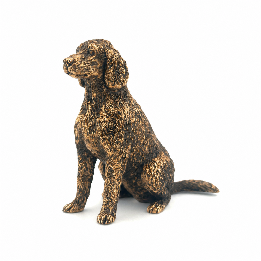 Labradoodle