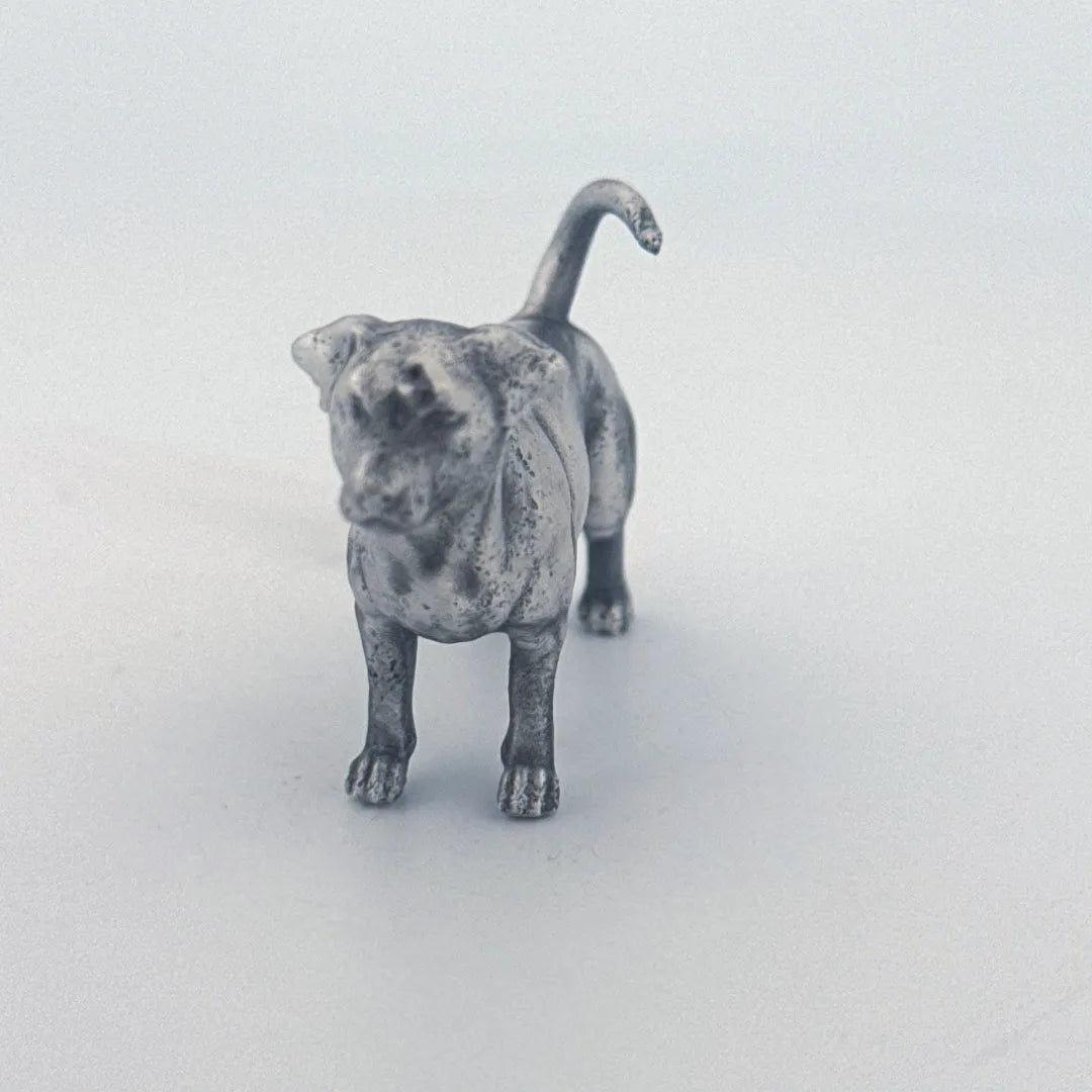 Jack Russell Terrier