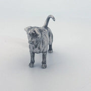 Jack Russell Terrier