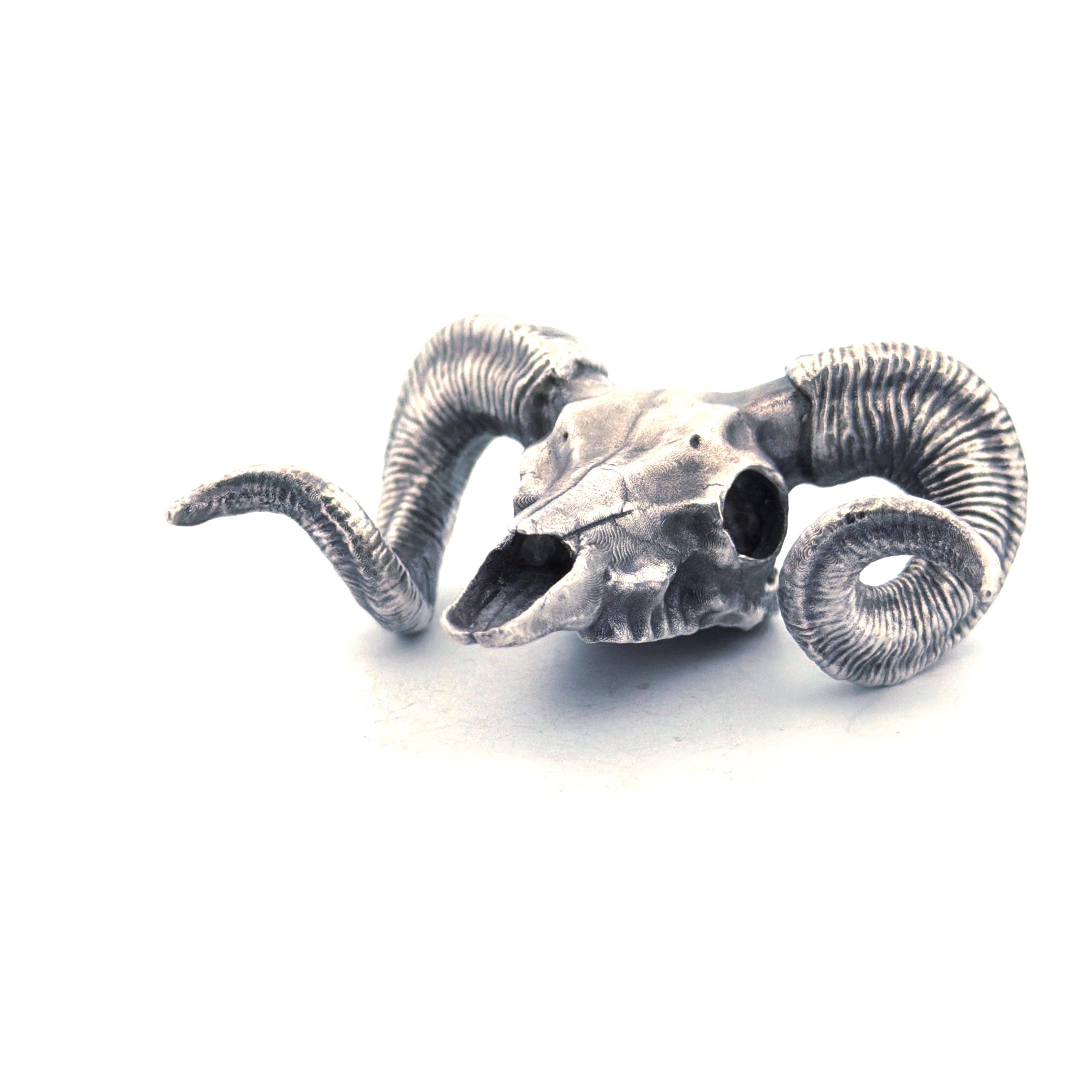Ram Skull