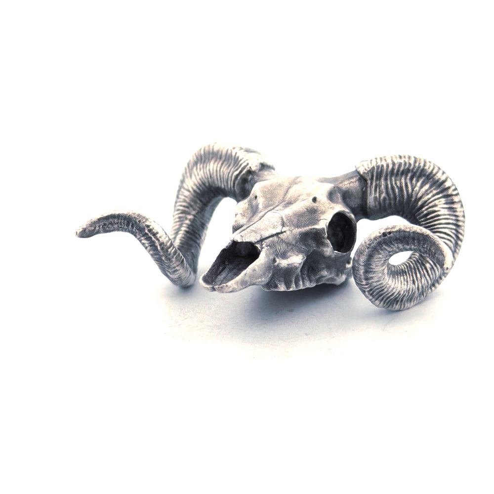 Ram Skull