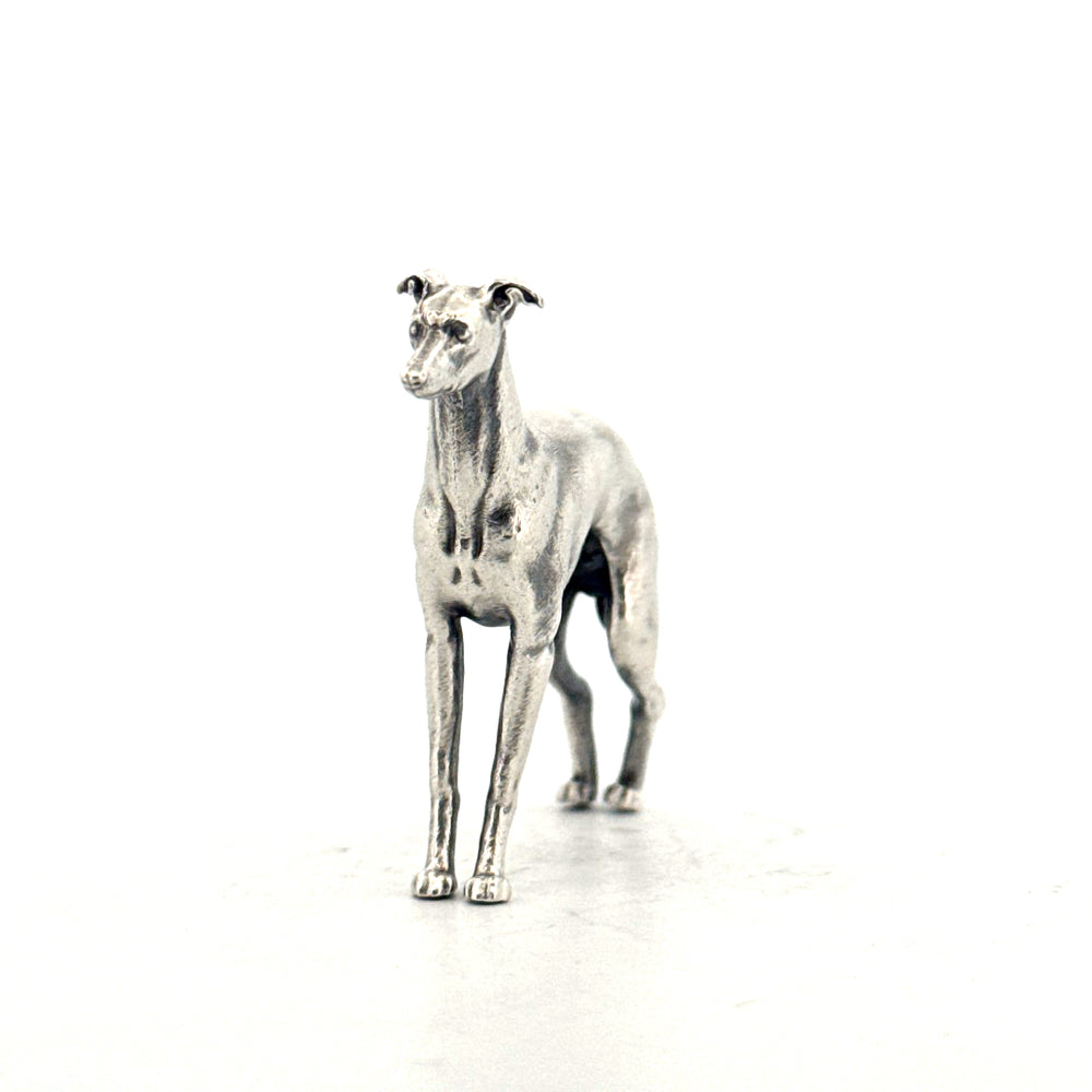 Italian Greyhound