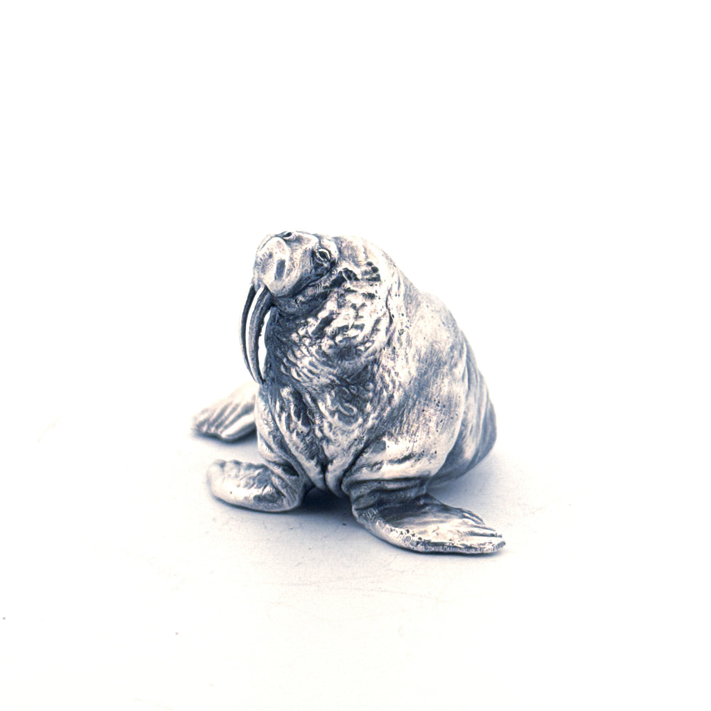 Walrus
