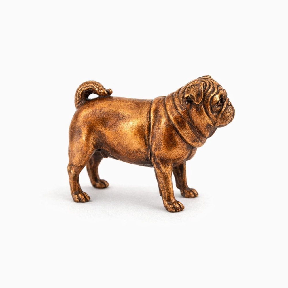 Pug