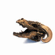 Dragon Skull
