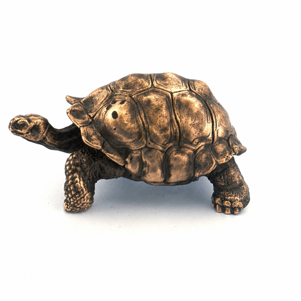 Galapagos Tortoise