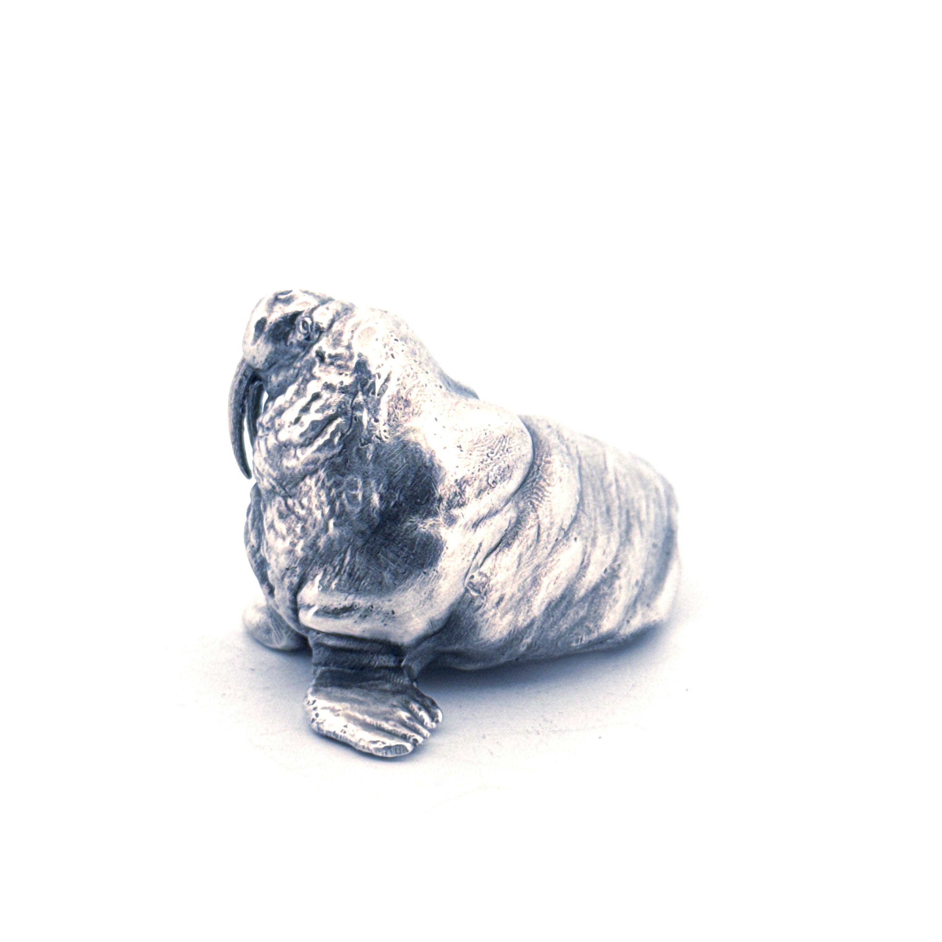 Walrus