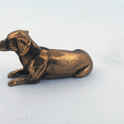Dachshund