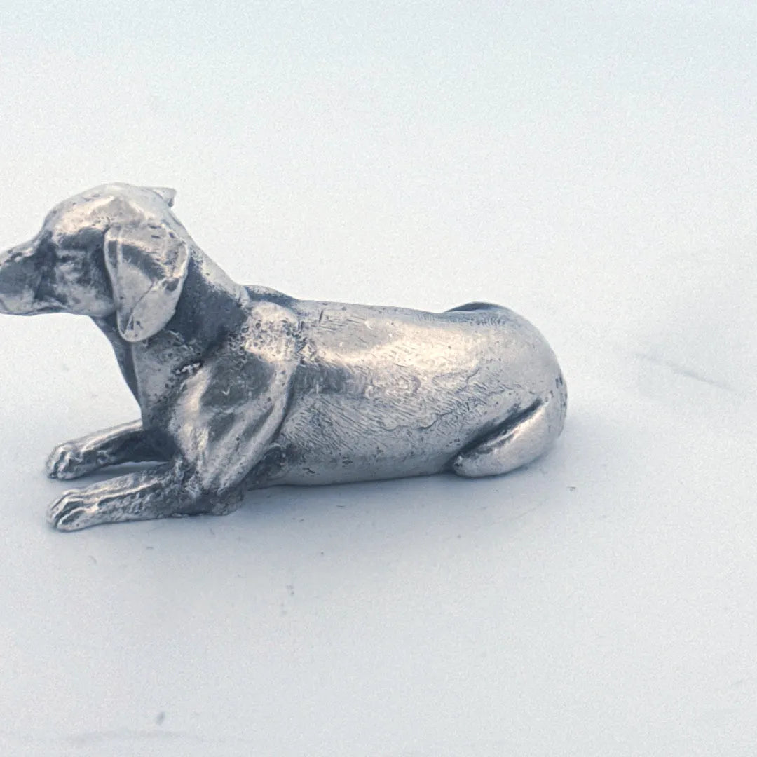 Dachshund