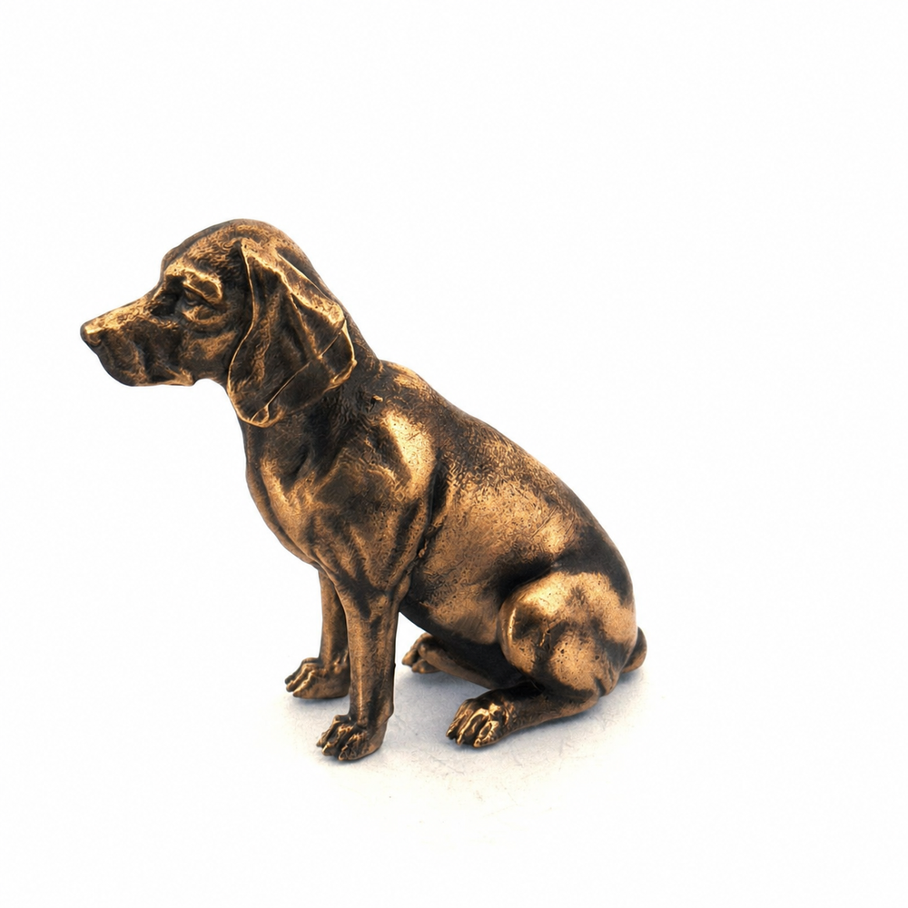 Beagle