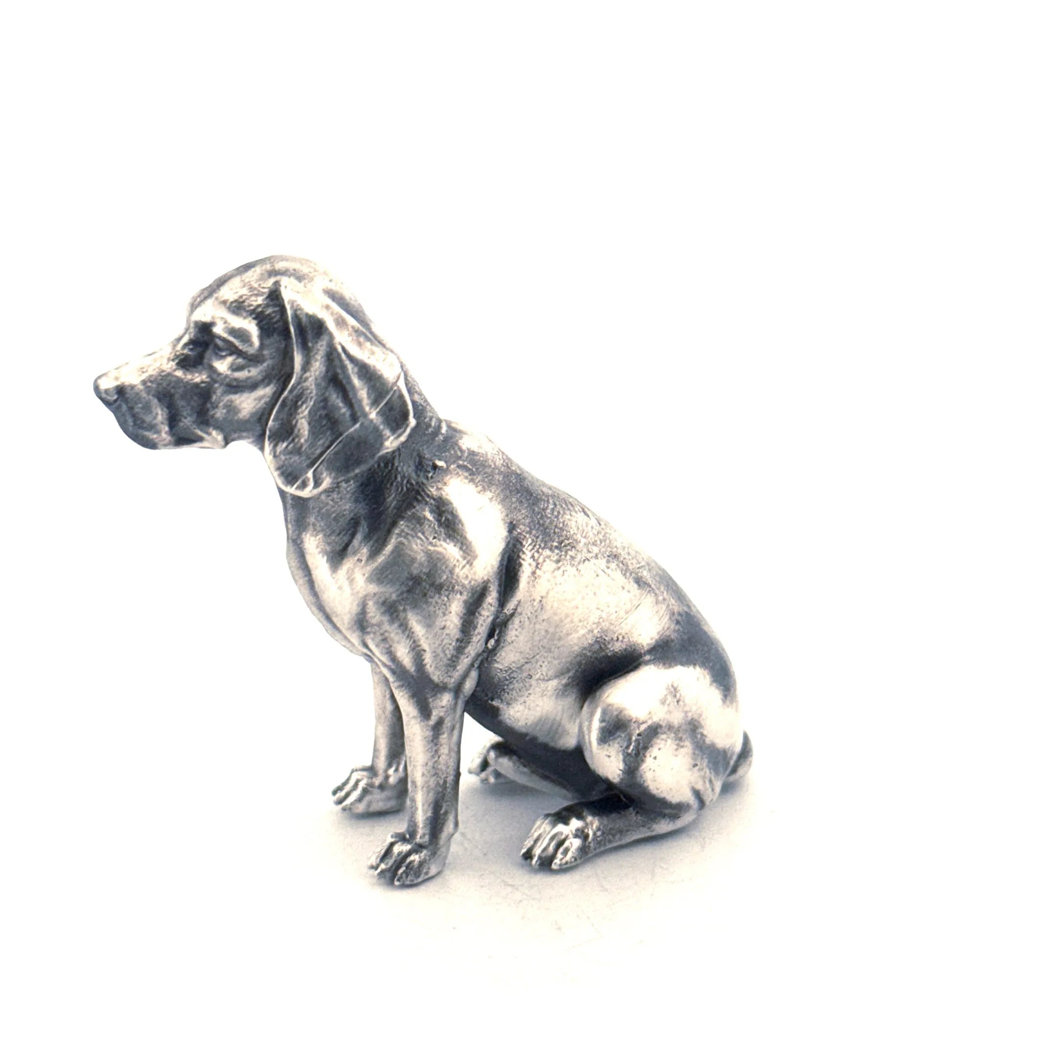 Beagle