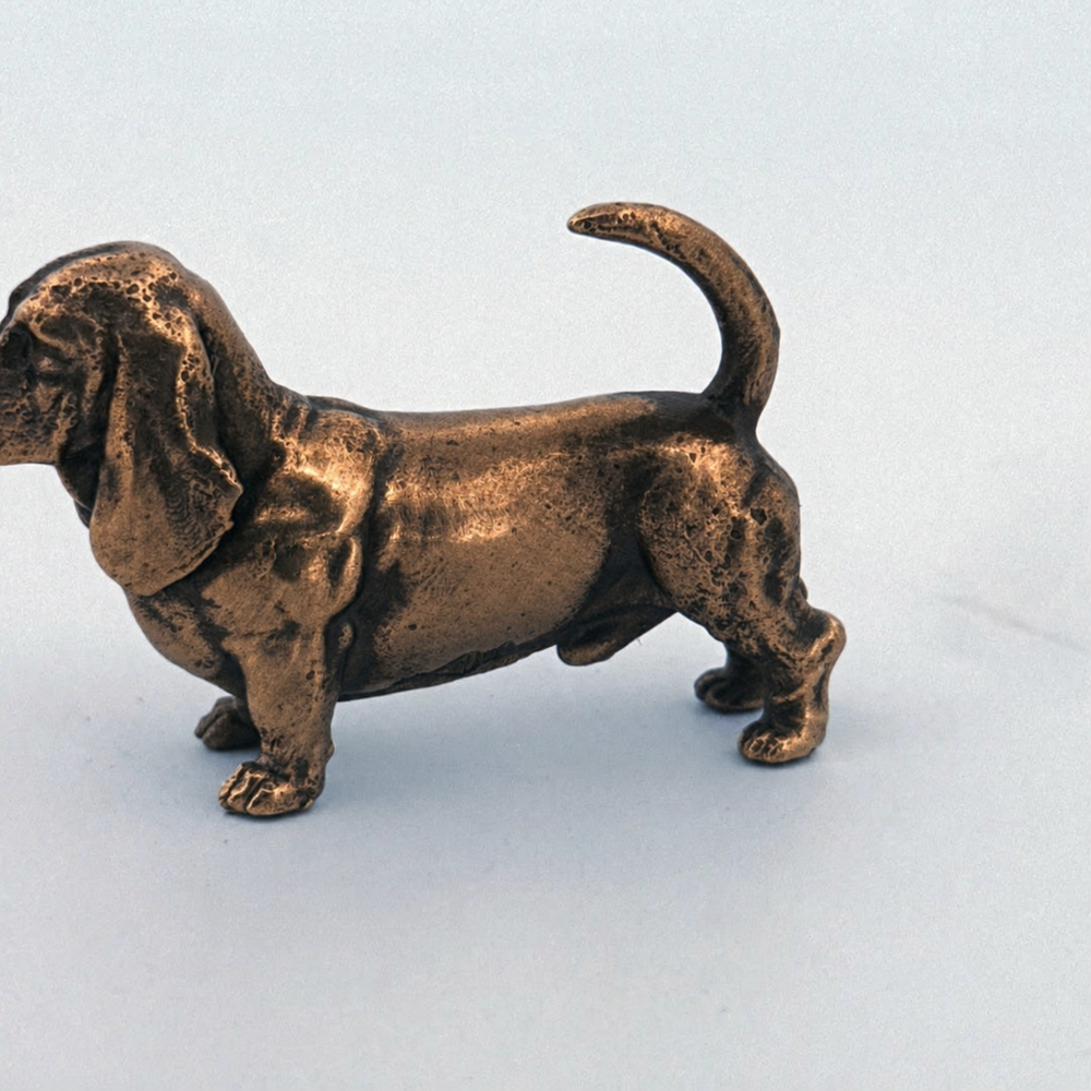 Basset Hound