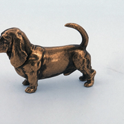 Basset Hound