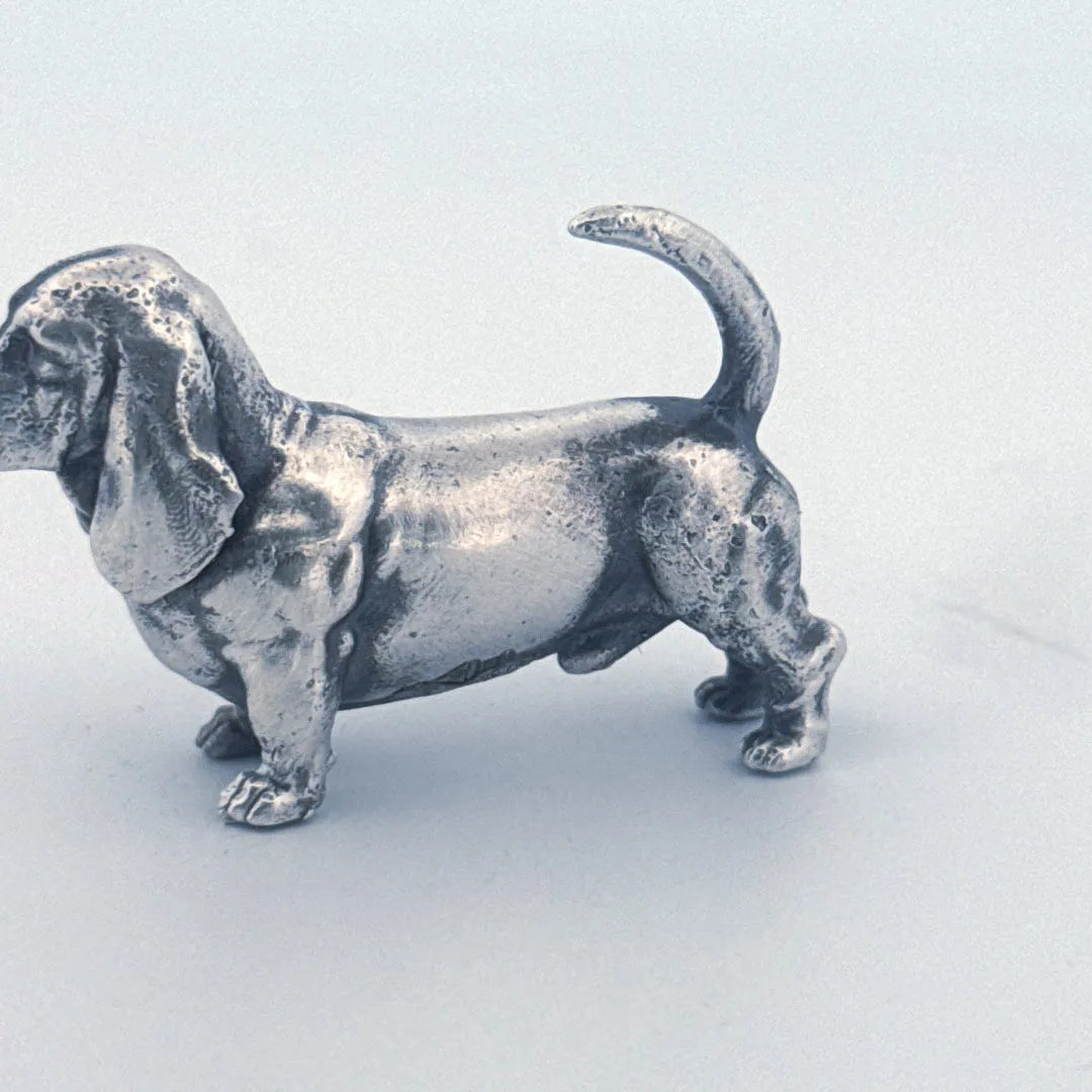Basset Hound