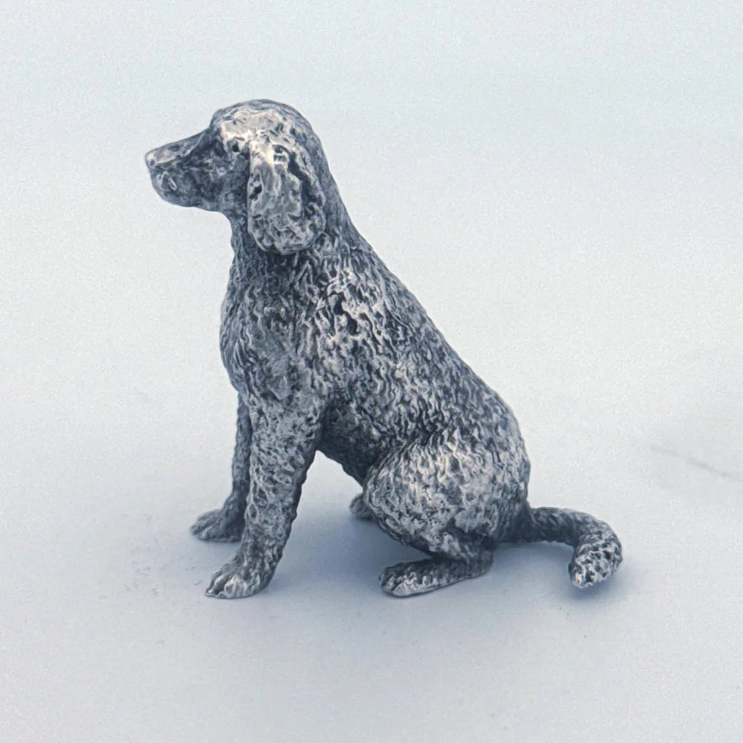 Labradoodle