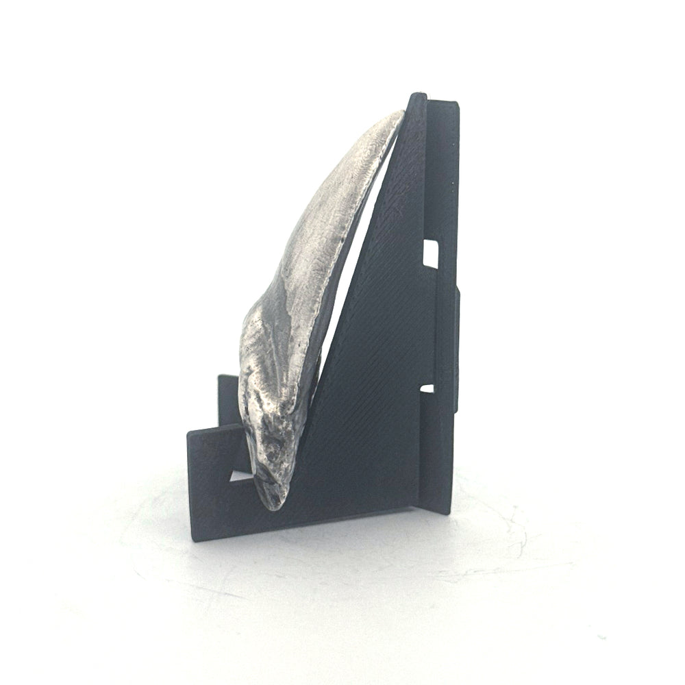 Shark Tooth
