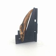 Shark Tooth