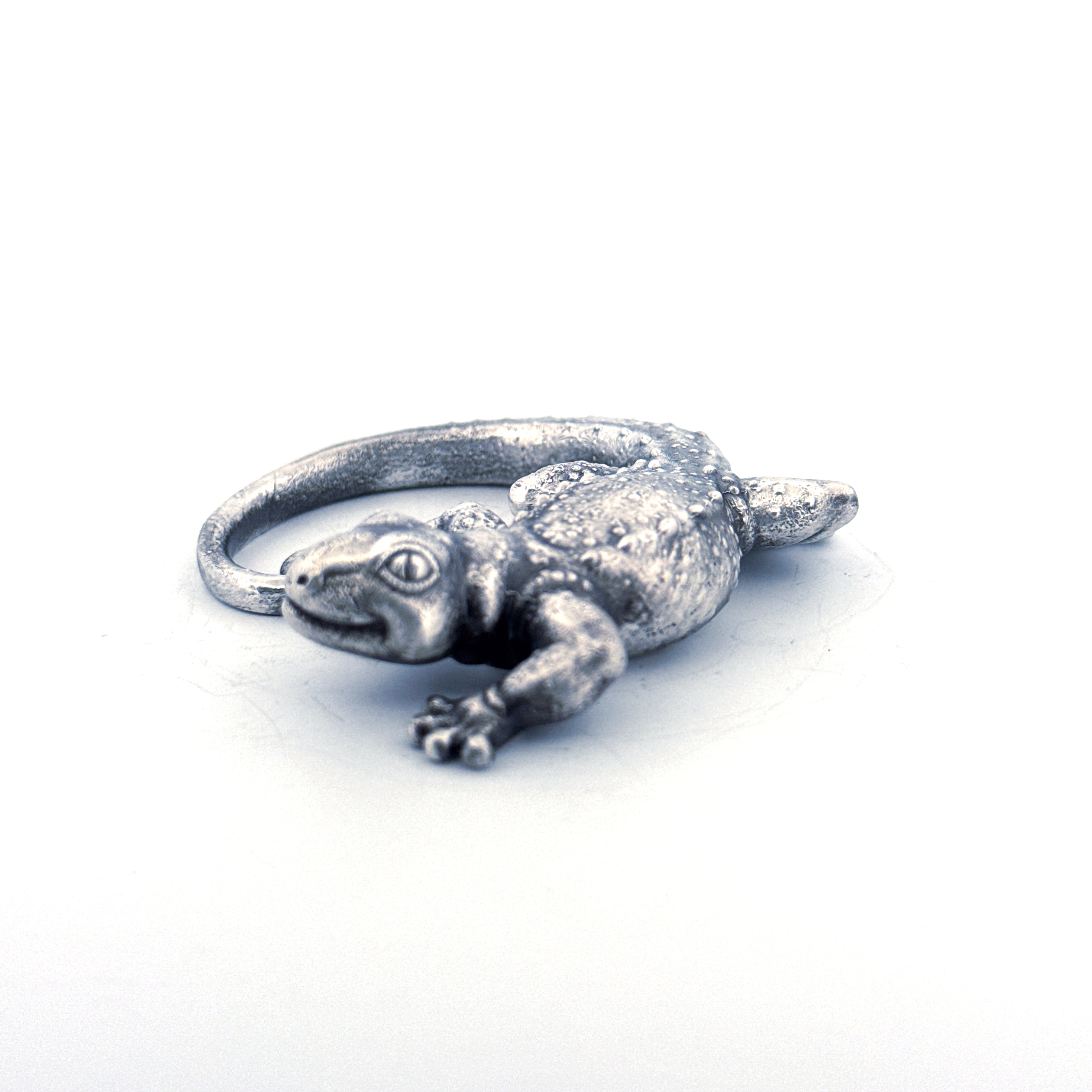 Silver Gecko