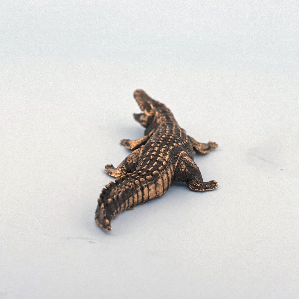Crocodile