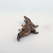 Crocodile