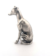 Whippet