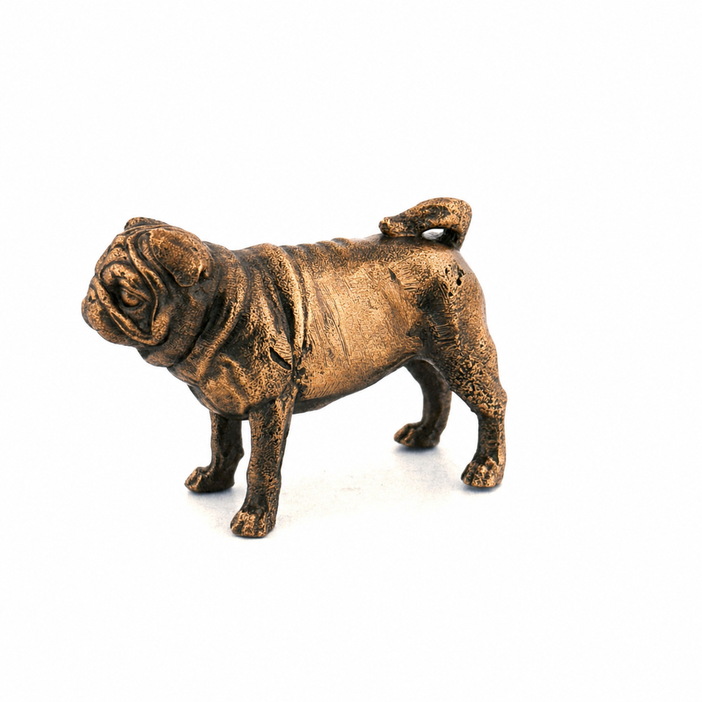 Pug