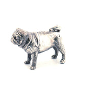 Pug