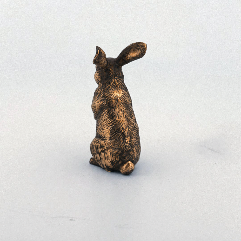 Bunny Rabbit