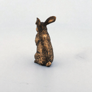 Bunny Rabbit