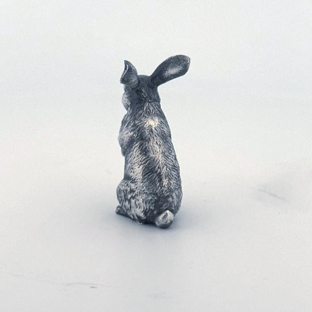Bunny Rabbit