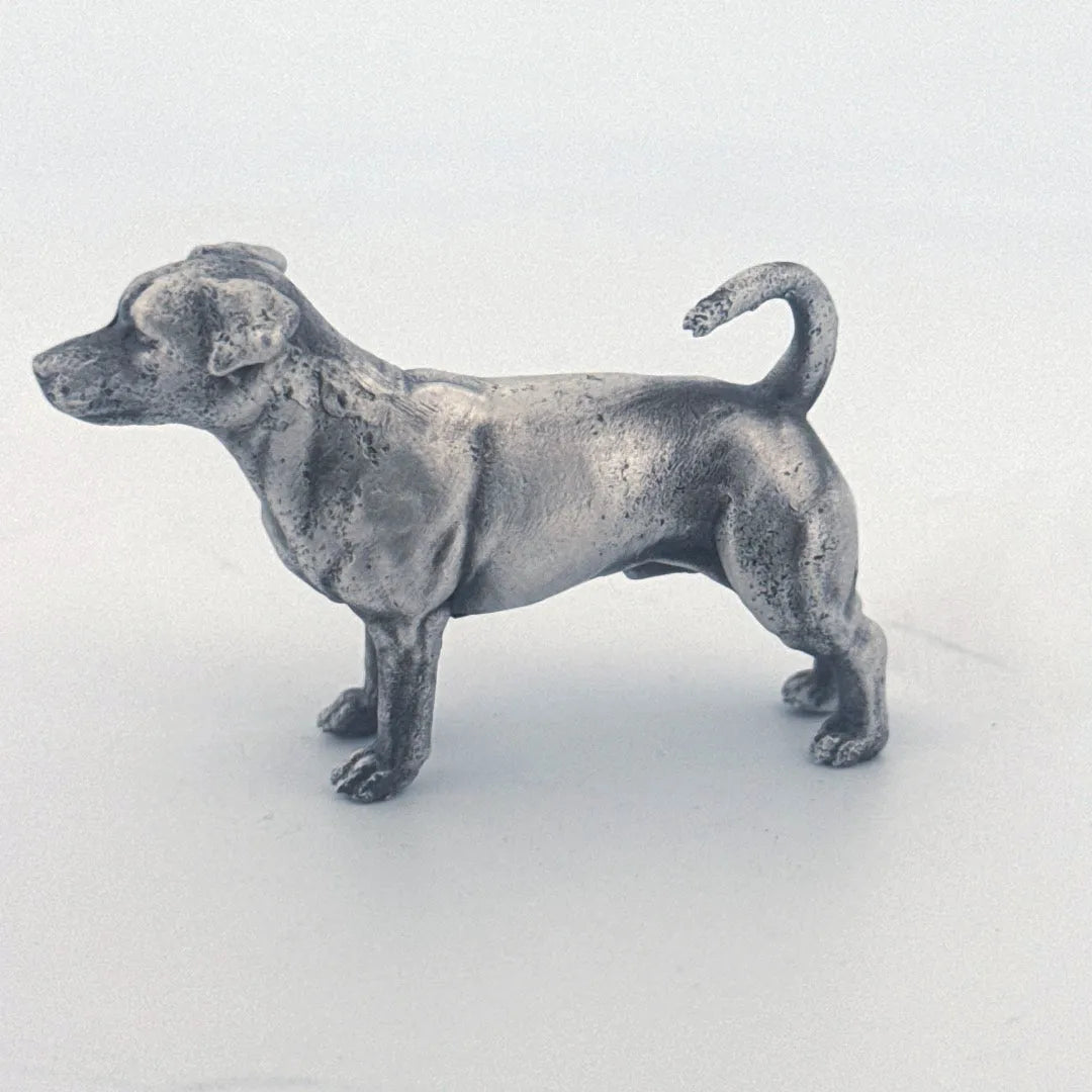Jack Russell Terrier