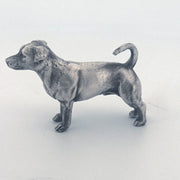 Jack Russell Terrier