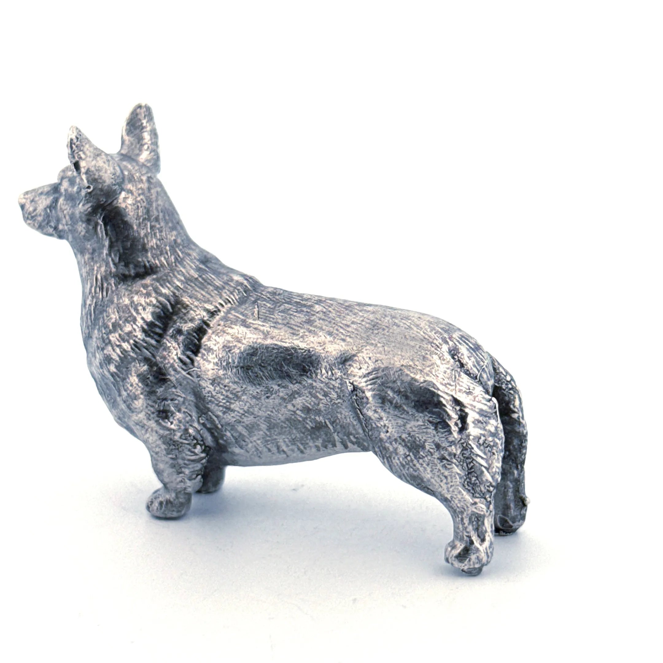 Corgi