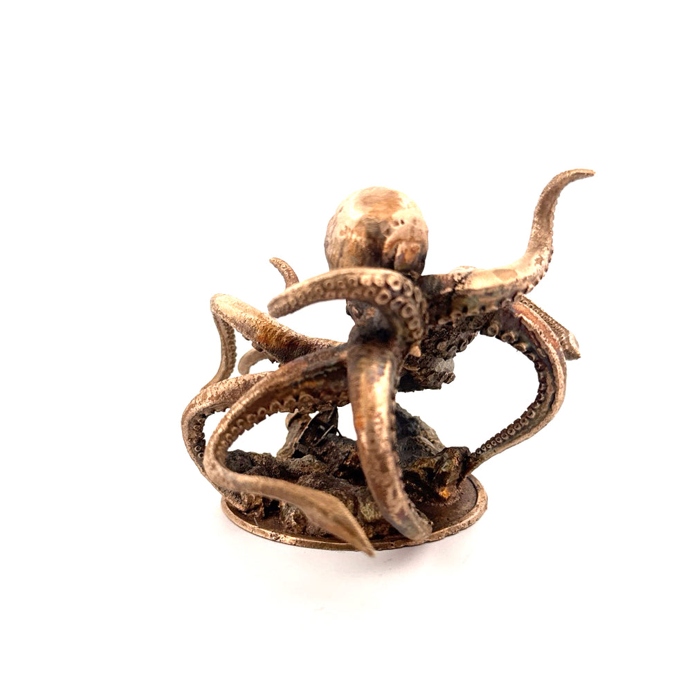 The Kraken