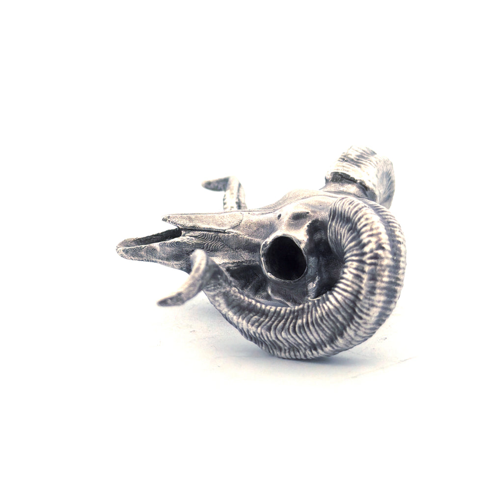 Ram Skull