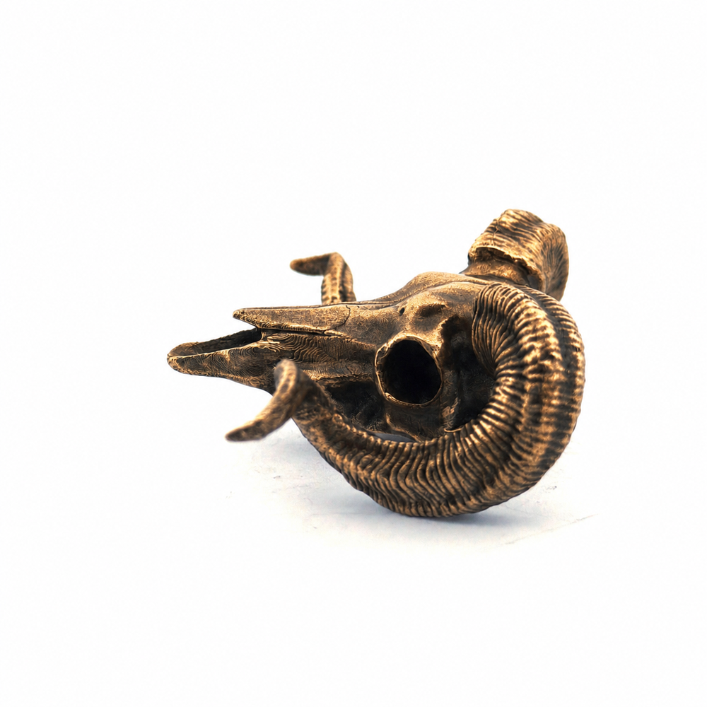 Ram Skull