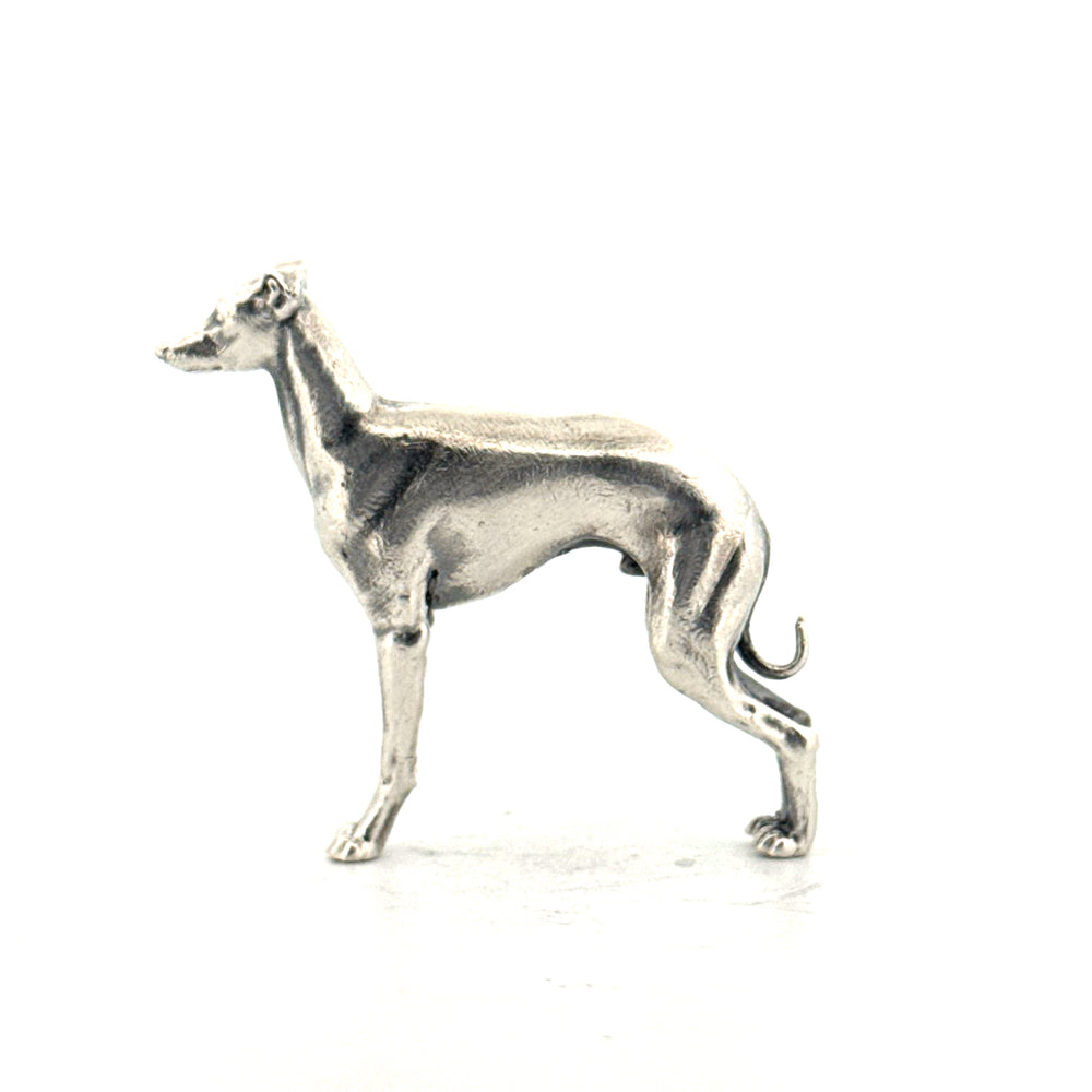 Italian Greyhound