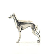 Italian Greyhound