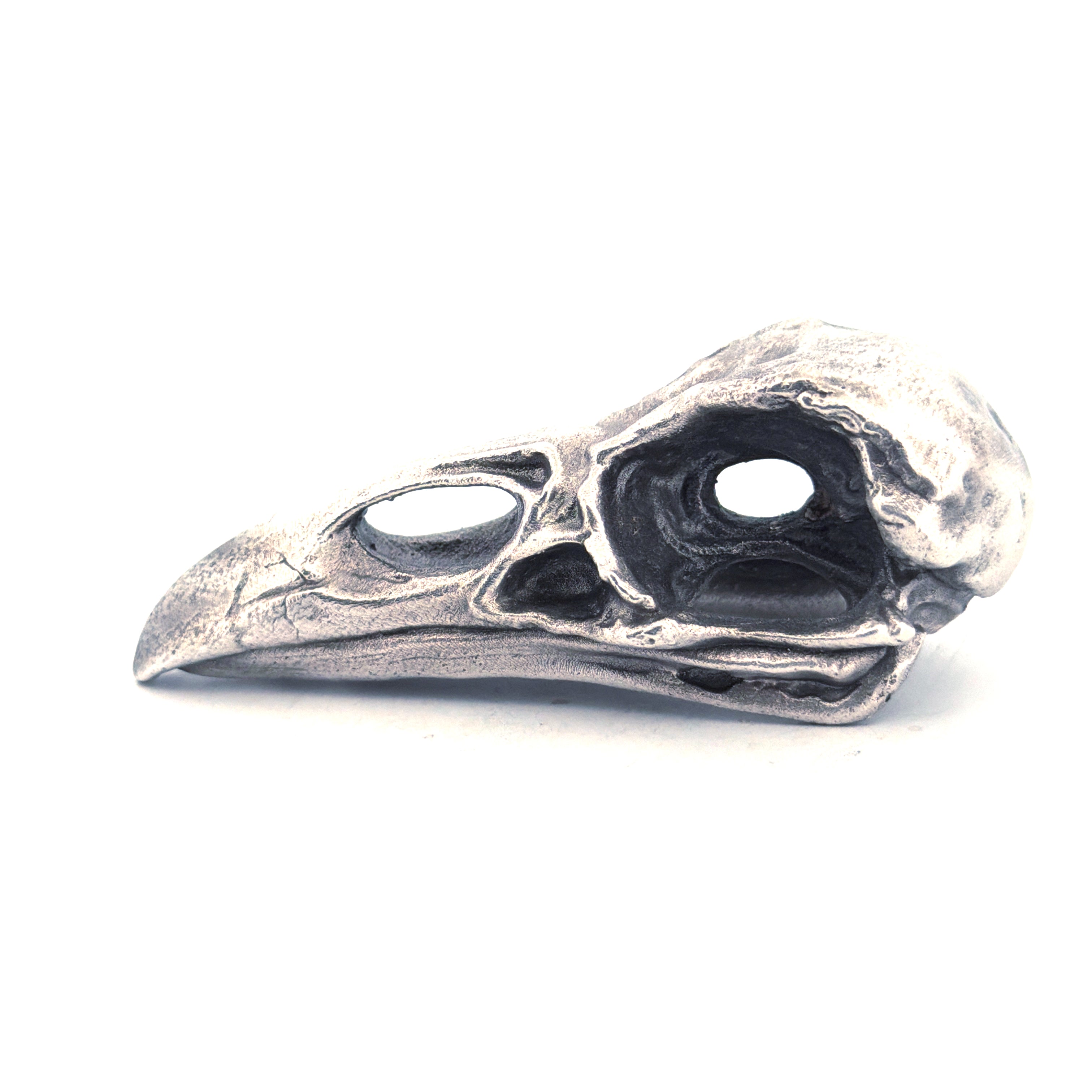 Raven Skull